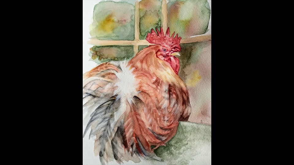 wowchicken 1
